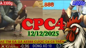 Tổng Hợp Trực Tiếp Đá Gà CPC4 Hôm Nay 12122025 Bản Phát Lại