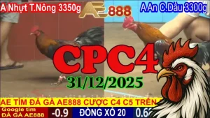 Tổng Hợp Video Clip Đá Gà Thomo CPC4 Hôm Nay 31122025