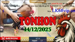 Trực Tiếp Đá Gà Tonhon Hôm Nay 14122025 Mới Nhất