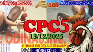 Video Full Trận Đá Gà CPC5 Hôm Nay 13122025 Trực Tiếp