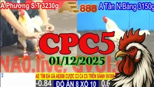 Video Trực Tiếp Đá Gà CPC5 01122025 - Xem Phát Lại Ngay