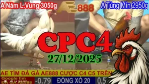 Video trực tiếp đá gà CPC4 hôm nay 27122025