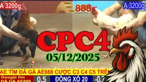 Video trực tiếp đá gà CPC4 phát lại 05122025 mãn nhãn