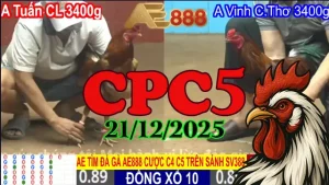 Xem Lại Đá Gà CPC5 Trực Tiếp Ngày 21122025 Không Lag