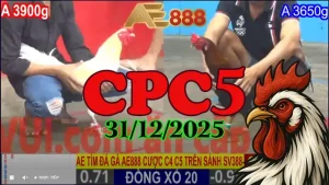 Xem Lại Đá Gà Thomo CPC5 31122025 Full Trận