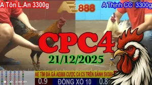 Xem Nhanh Clip Trực Tiếp Đá Gà CPC4 21122025