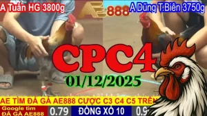 Xem Trực Tiếp Đá Gà Thomo CPC4 Ngày 01122025 - Cập Nhật Mới Nhất