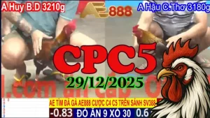 Xem lại đá gà Thomo CPC5 hôm nay 29122025 chuẩn HD