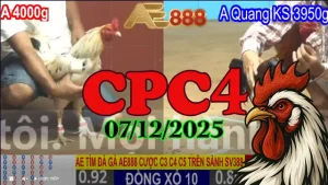 Xem lại video trực tiếp đá gà Thomo CPC4 hôm nay 07122025