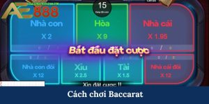 Cách Chơi Baccarat