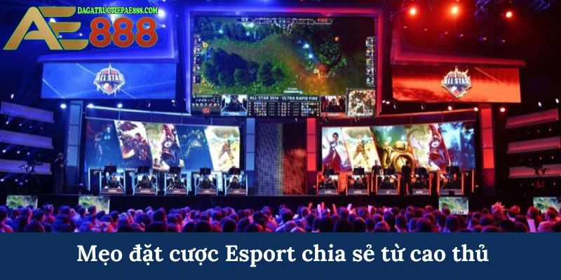 Mẹo đặt cược Esport chia sẻ từ cao thủ
