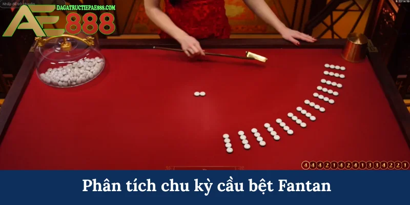 Phân tích chu kỳ cầu bệt Fantan