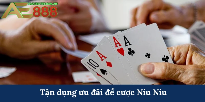 Tận dụng ưu đãi để cược Niu Niu