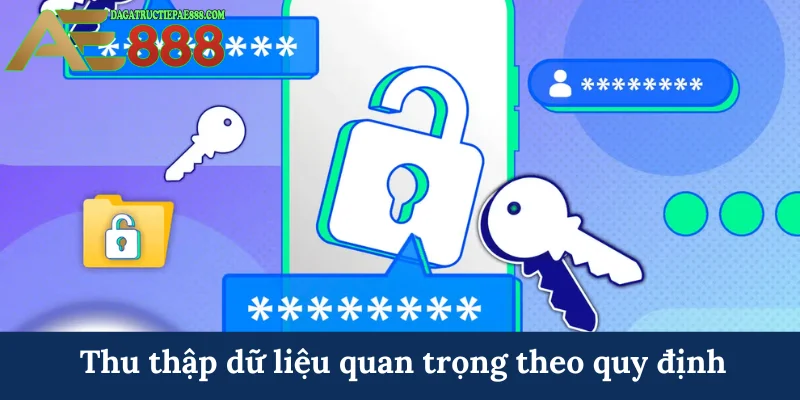 Thu thập dữ liệu quan trọng theo quy định