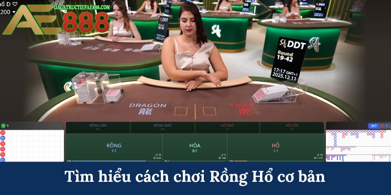 Tìm hiểu cách chơi Rồng Hổ cơ bản 