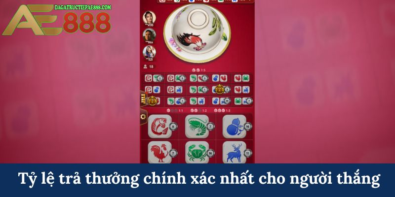 Tỷ lệ trả thưởng chính xác nhất cho người thắng