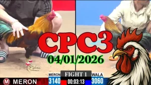 Xem Ngay Trực Tiếp Đá Gà CPC3 Ngày 04012026 Full HD