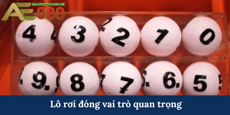 Lô rơi đóng vai trò quan trọng