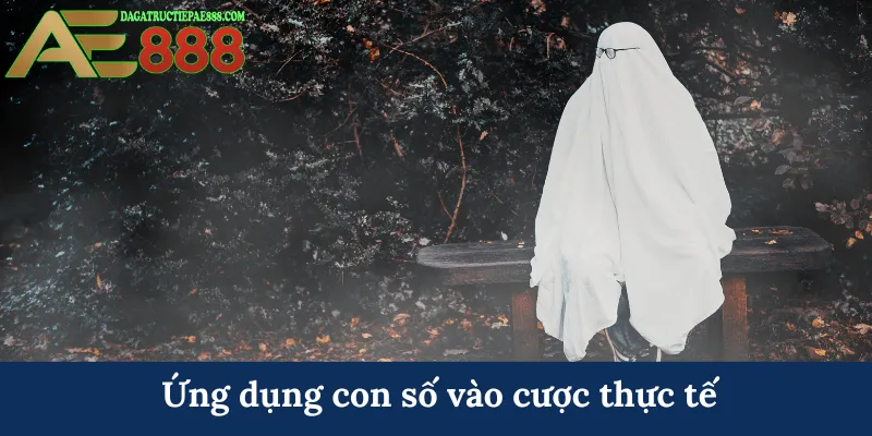 Ứng dụng con số vào cược thực tế
