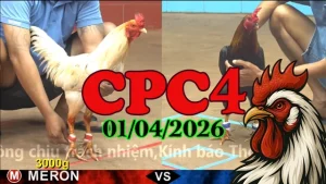 Link video phát lại đá gà Thomo CPC4 ngày 01042026