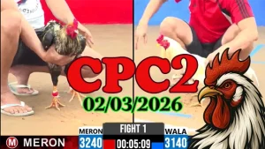 Tường thuật đá gà trực tiếp CPC2 ngày 02032026