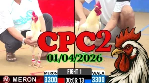 Video Đá Gà Thomo CPC2 Ngày 01042026