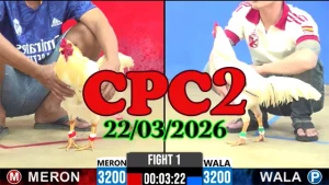 Video đá gà CPC2 trực tiếp ngày 22032026