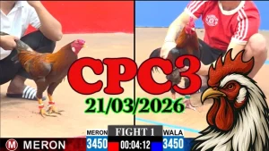 Xem clip đá gà trực tiếp CPC3 hôm nay 21032026 – Full trận HD