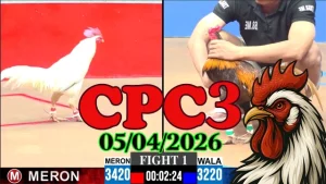 Clip đá gà Thomo CPC3 phát lại ngày 05042026