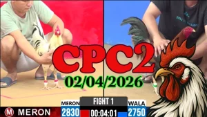 Full Clip Đá Gà Thomo CPC2 02042026