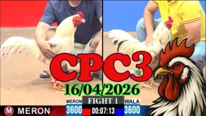 Full Clip Đá Gà Thomo CPC3 Ngày 16042026