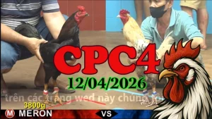 Full Video Đá Gà Trực Tiếp CPC4 Ngày 12042026 Mới Nhất