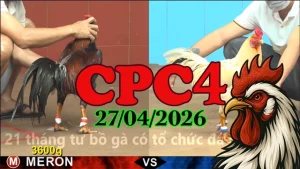 Full Video Phát Lại Đá Gà CPC4 Hôm Nay 27042026