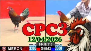 Xem Clip Đá Gà CPC3 Ngày 12042026