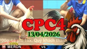 Xem đá gà trực tiếp CPC4 hôm nay 13042026