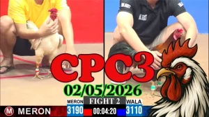 Full Clip đá gà trực tiếp CPC3 hôm nay 02052026