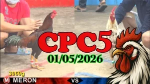 Tổng hợp đá gà CPC5 ngày 01052026