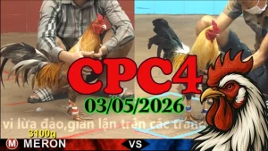 Video xem đá gà trực tiếp CPC4 hôm nay 03052026