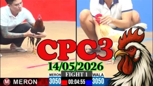 Xem ngay video đá gà trực tiếp CPC3 ngày 14052026