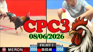 Full video đá gà Thomo CPC3 ngày 08062026